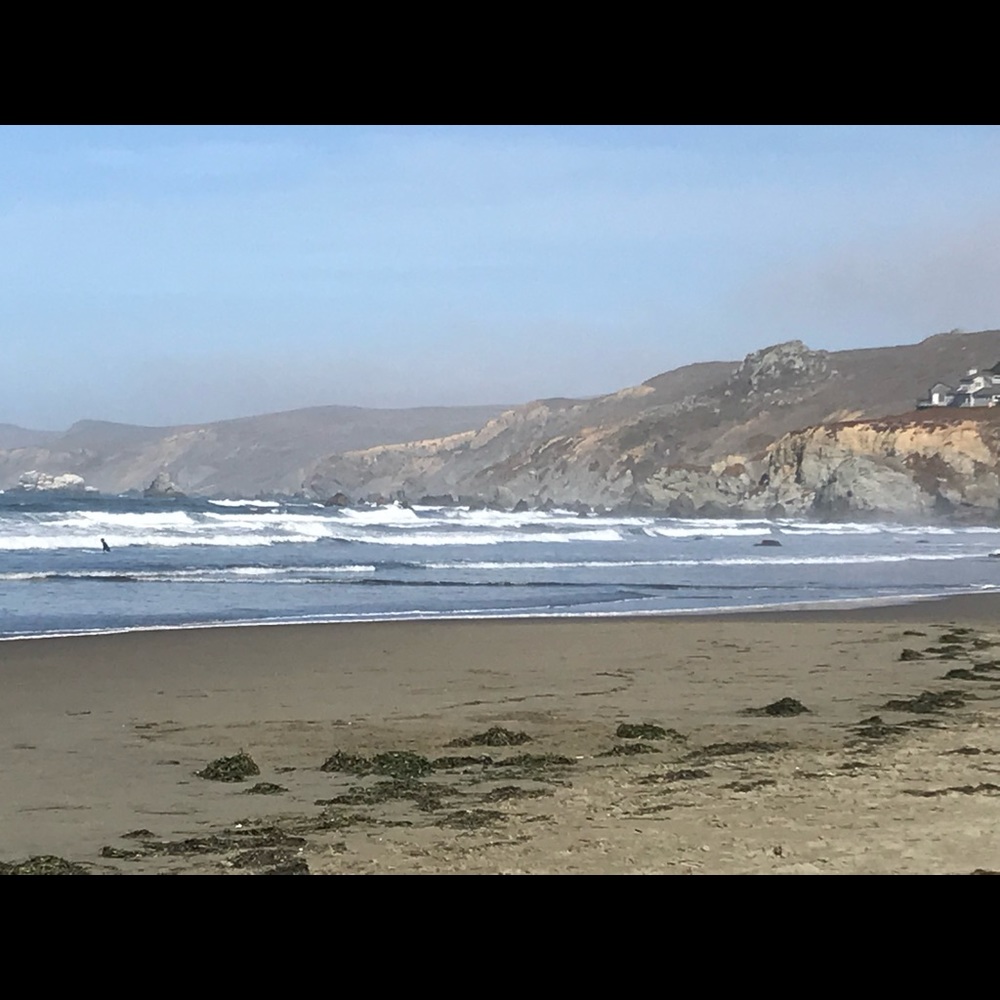 Meet your Posher, Monica